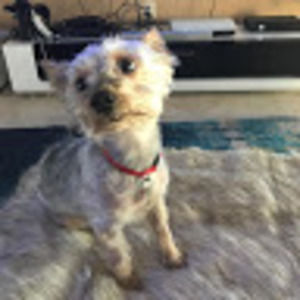 Meet your Posher, Seth